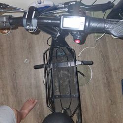 Scoot Escooter With Dog Basket And Lockw/ Charger New