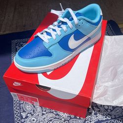 Nike Dunk Low Retro Argon, Blue Size 10
