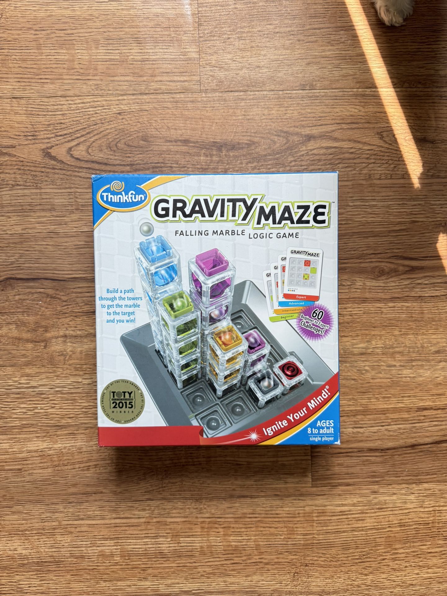 Gravity Maze Game