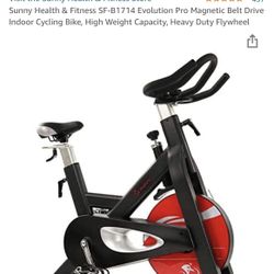 Magnetic Spin Bike