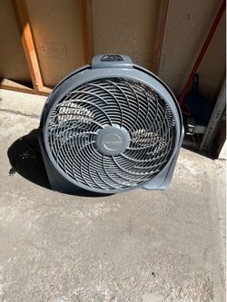 Fan
