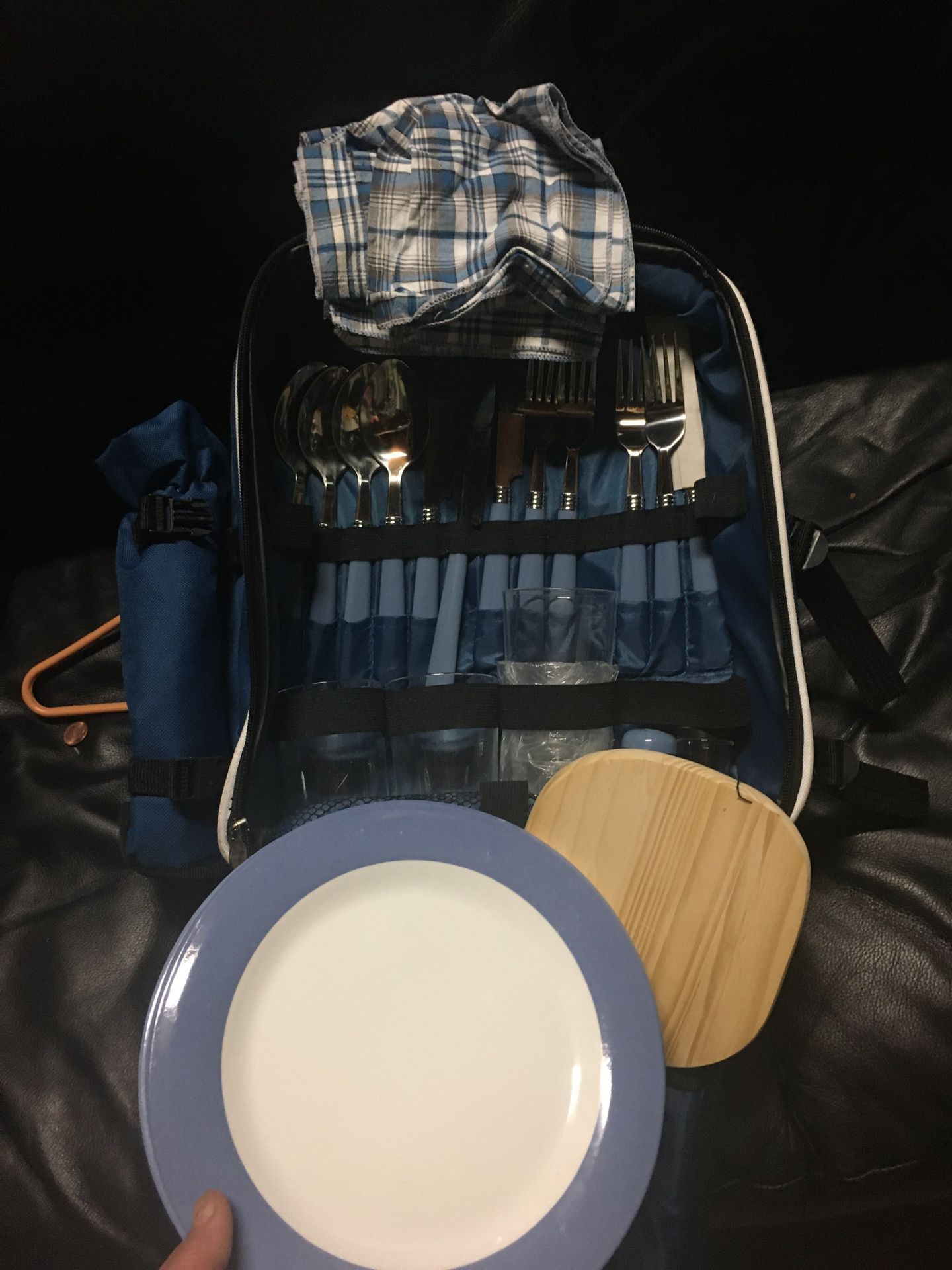 Coolest picnic backpack with everything including blanket needed