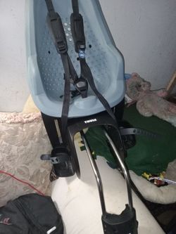 Thule Yepp 2 Maxi rear-mounted child bike seat.