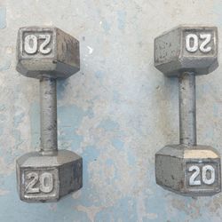 20 Pound Dumbbells 