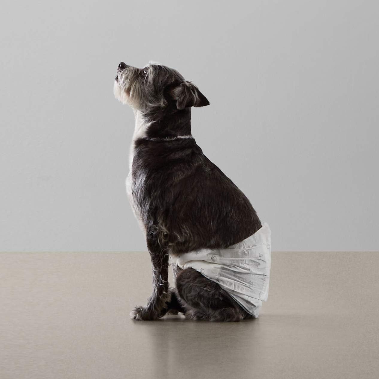 AMAZON BASICS Male Dog Diaper Wraps - Ultra-Absorbent, Secure, Leakproof - Small - 30 Count (NEW)