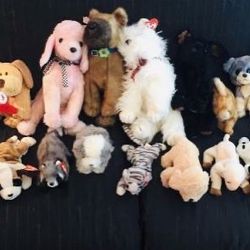 BEANIE BABIES COLLECTION 25 - all sizes - Most have affixed tags