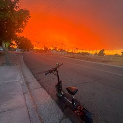 Tif Galop Electric Scooter