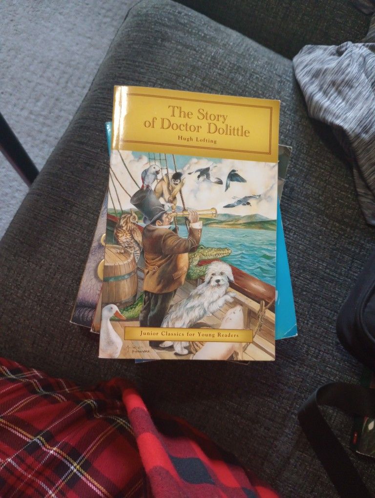 Chapter Books