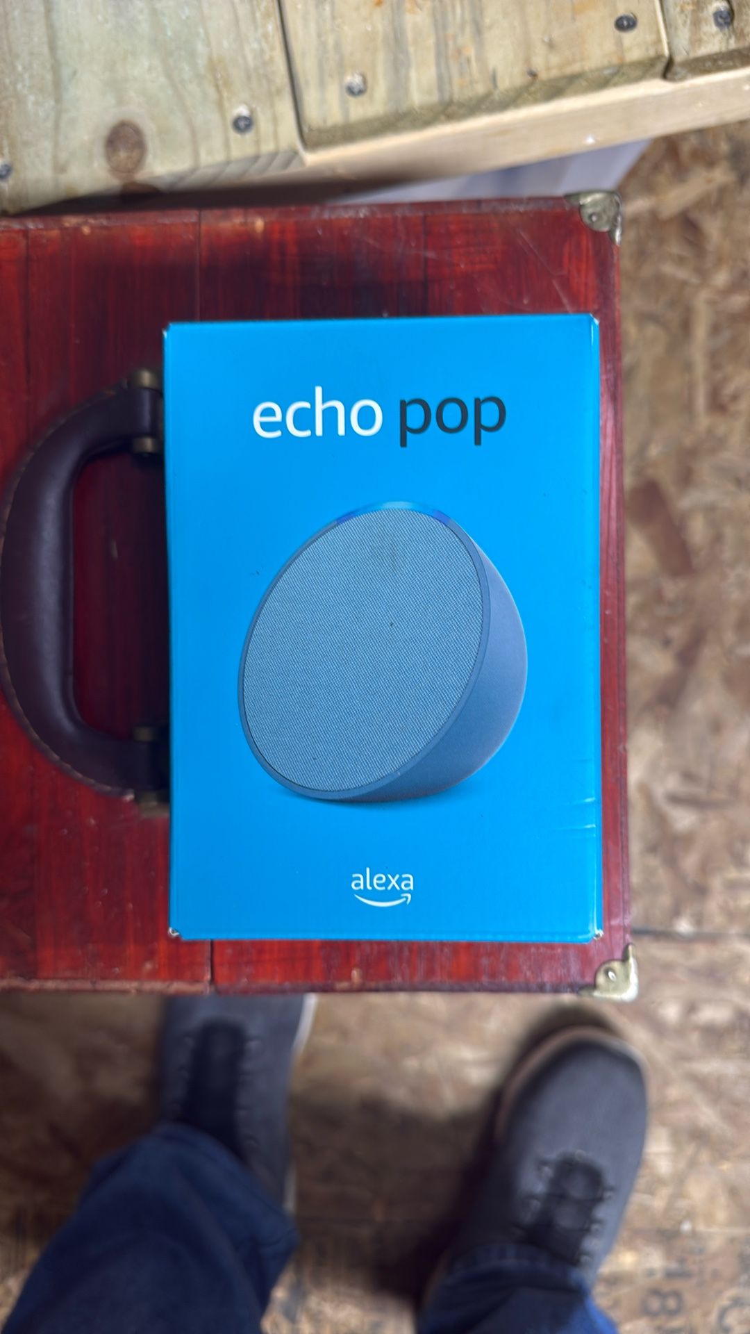 Alexa Echo Pop