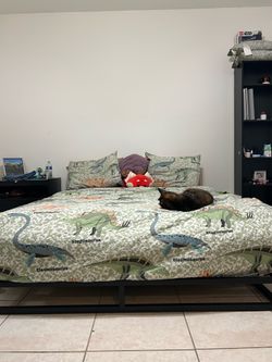 Queen bed frame and mattress