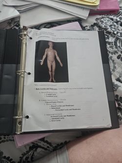 New Anatomy Bundle Books
