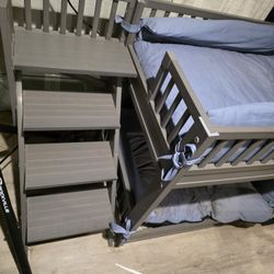 Cat Bunk Beds
