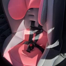 Brand New Cosco Car Seat 