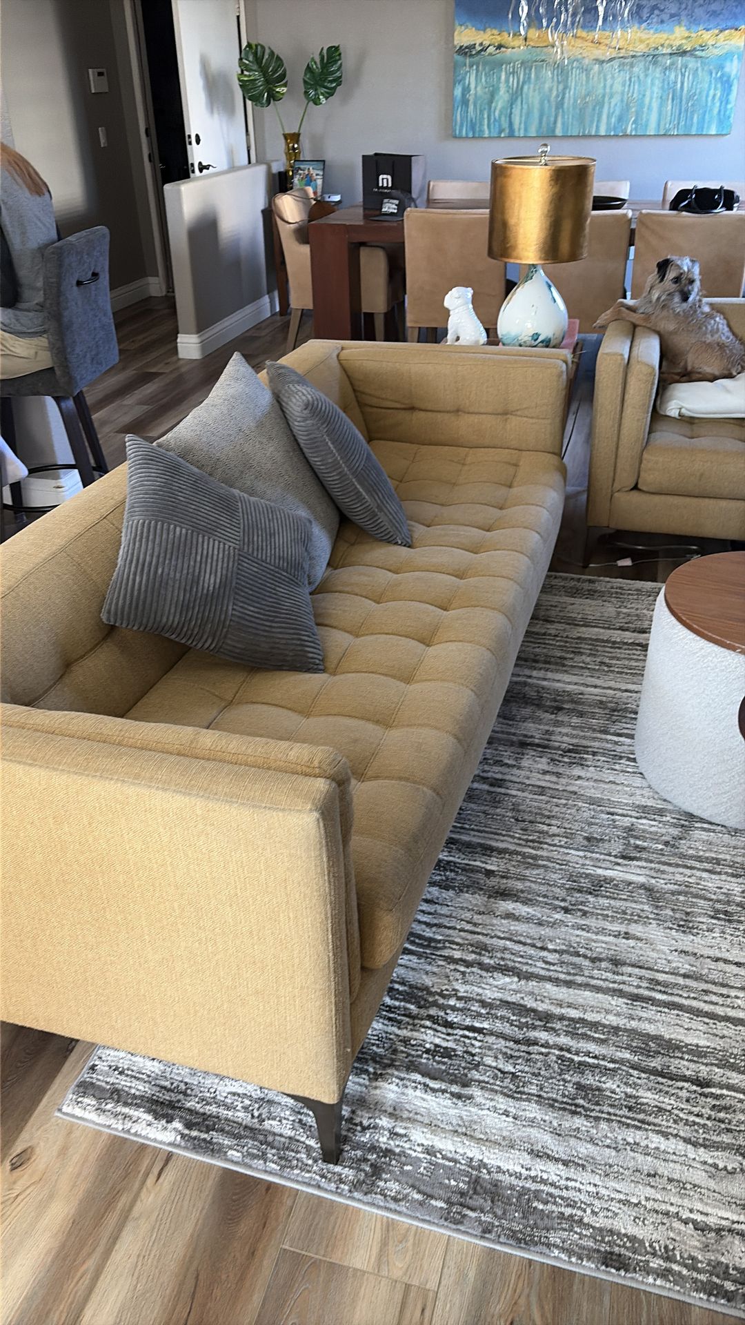 Living room furniture! Retro awesome!