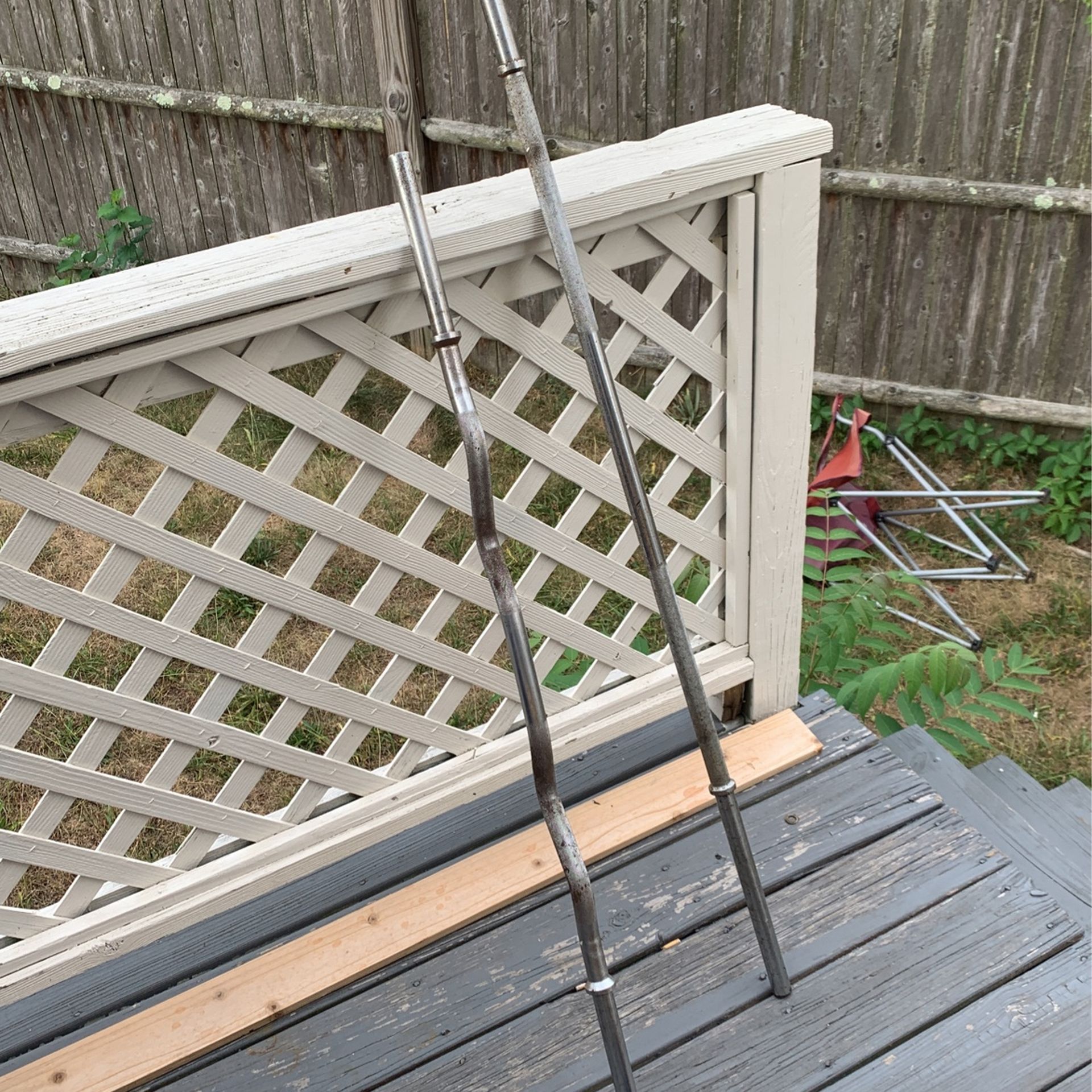 Barbell And Preacher Bar 