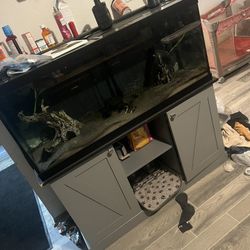 75 Gallon Aquarium 