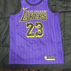 Nike NBA LeBron James City Version Jersey SW Fan Edition lakers 23 Purple AJ4618-510 pinstripe
