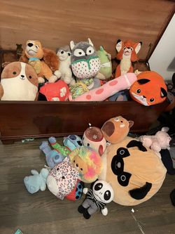 Stuffed Animals