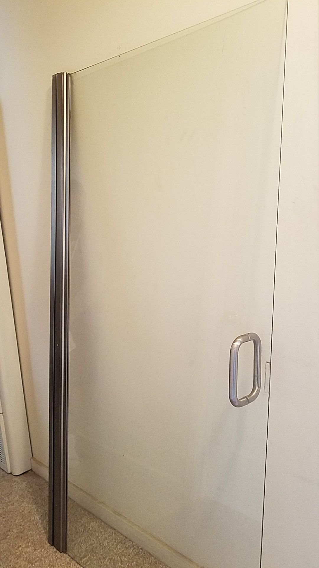 Glass shower door