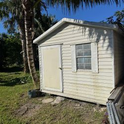 10 * 12 Sheds 