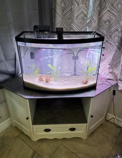 Bow Front Fish Tank 