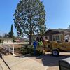 Green Oak Tree Care