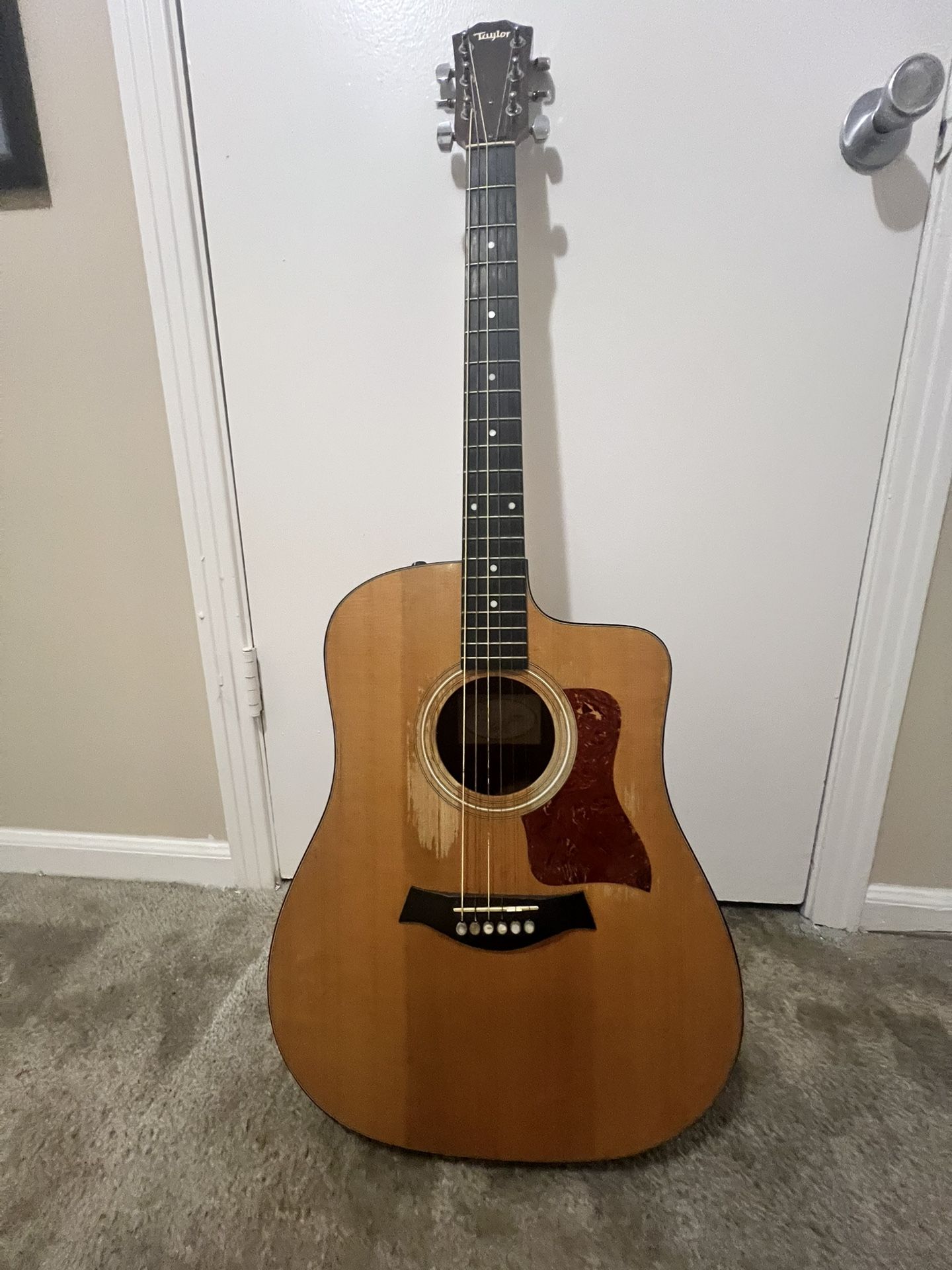 Taylor 110ce Acoustic Guitar And Accessories