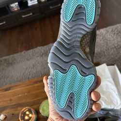 Jordan 11 Gamma Size 11 New In Box $350