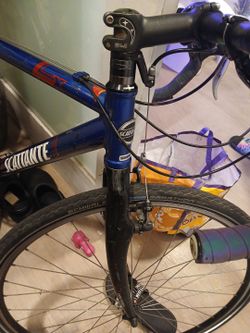 Scattante Road Bike with Schwalbe Marathon Tires