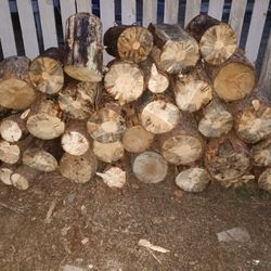 seasoned pine firewood for sale 