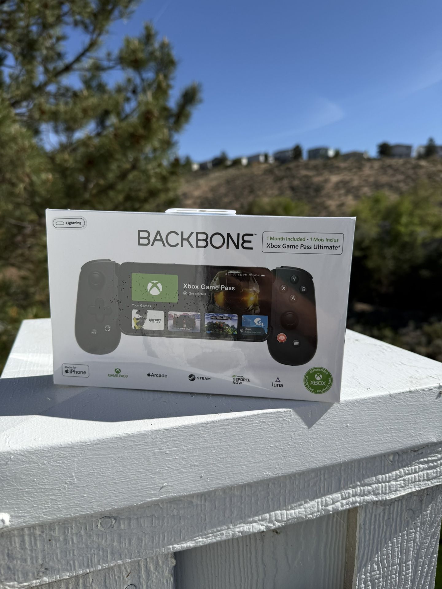 Back Bone