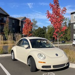 2010 Volkswagen Beetle