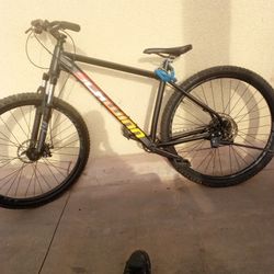 29inch Schwinn