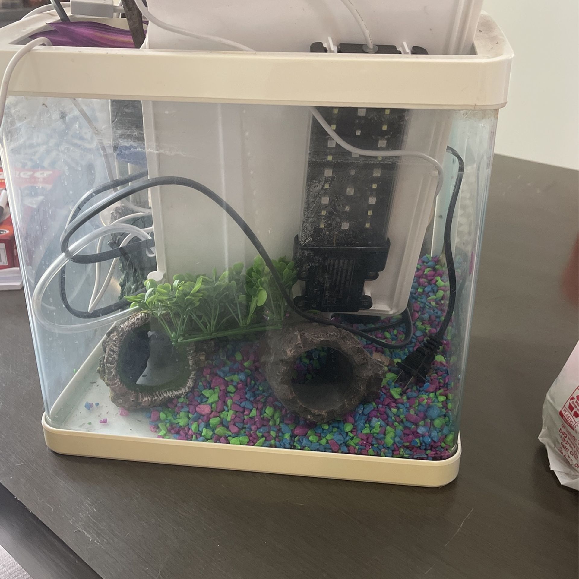 5 Gallon Fish tank With Accessories