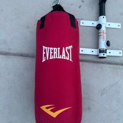 50 Lb PUNCHING Bags W|Mount 