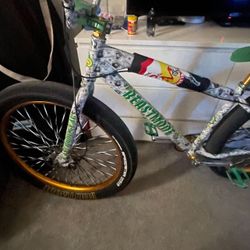 SE Bike