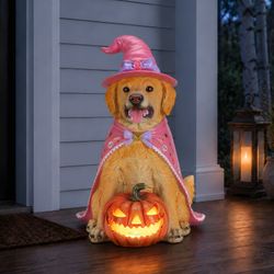 Halloween Golden Retriever Dog Statue, Large Sitting Dog Figurine with Pink Witch Hat & Cape, LED Light Up Jack-O-Lantern Pumpkin