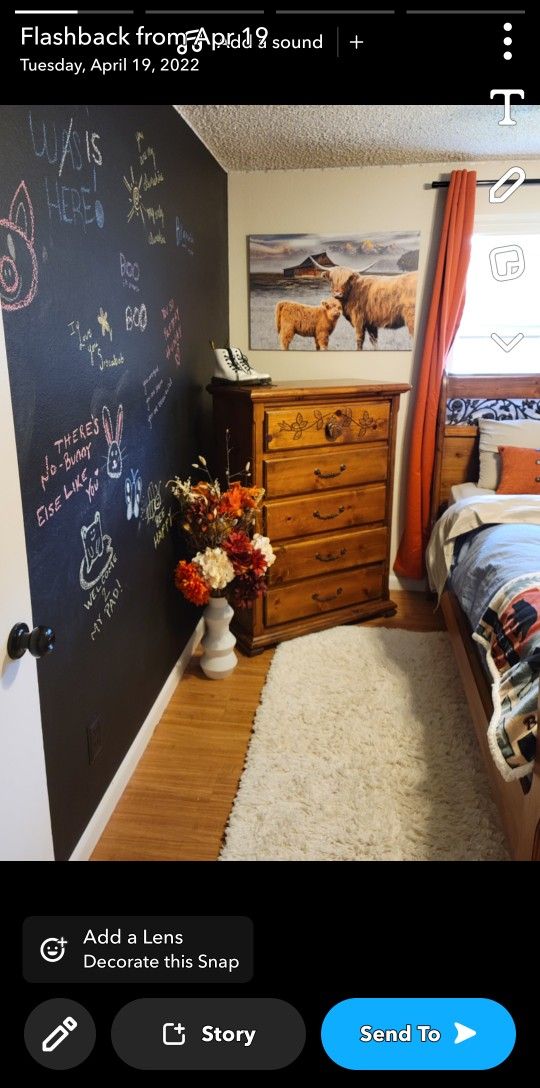 Bed And Dresser From Old Canary Very Good Shape