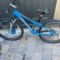 Specialized Rockhopper Mountain Bike