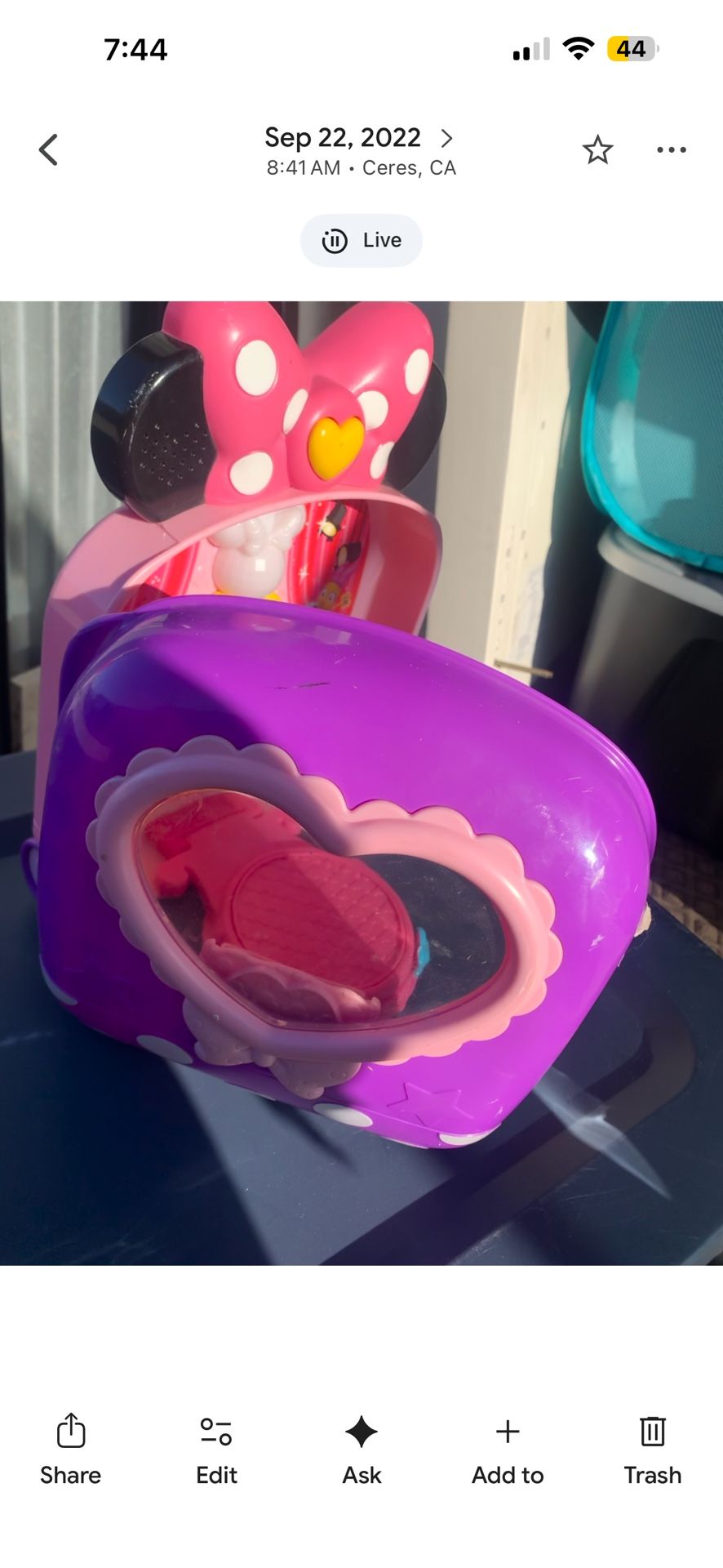 Minnie MouseCarry case