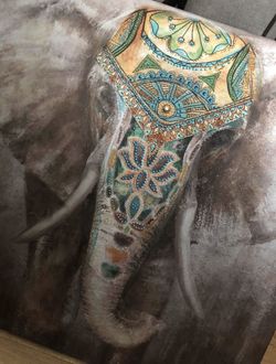 Elephant Canvas