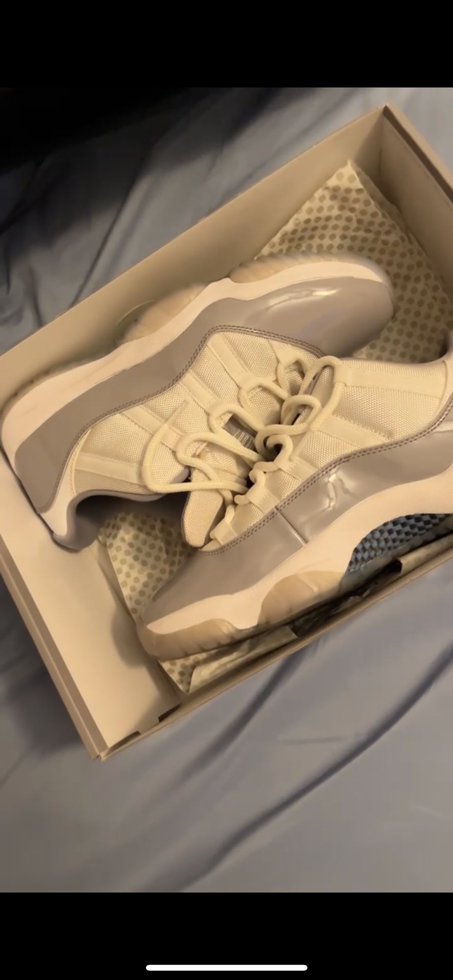 jordan 11