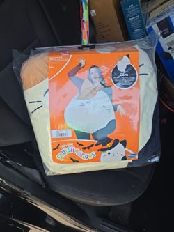 Costume