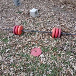 I Have A Lot More Weights That Go With It And A Professional Weight Bench I'll Do It All For $250