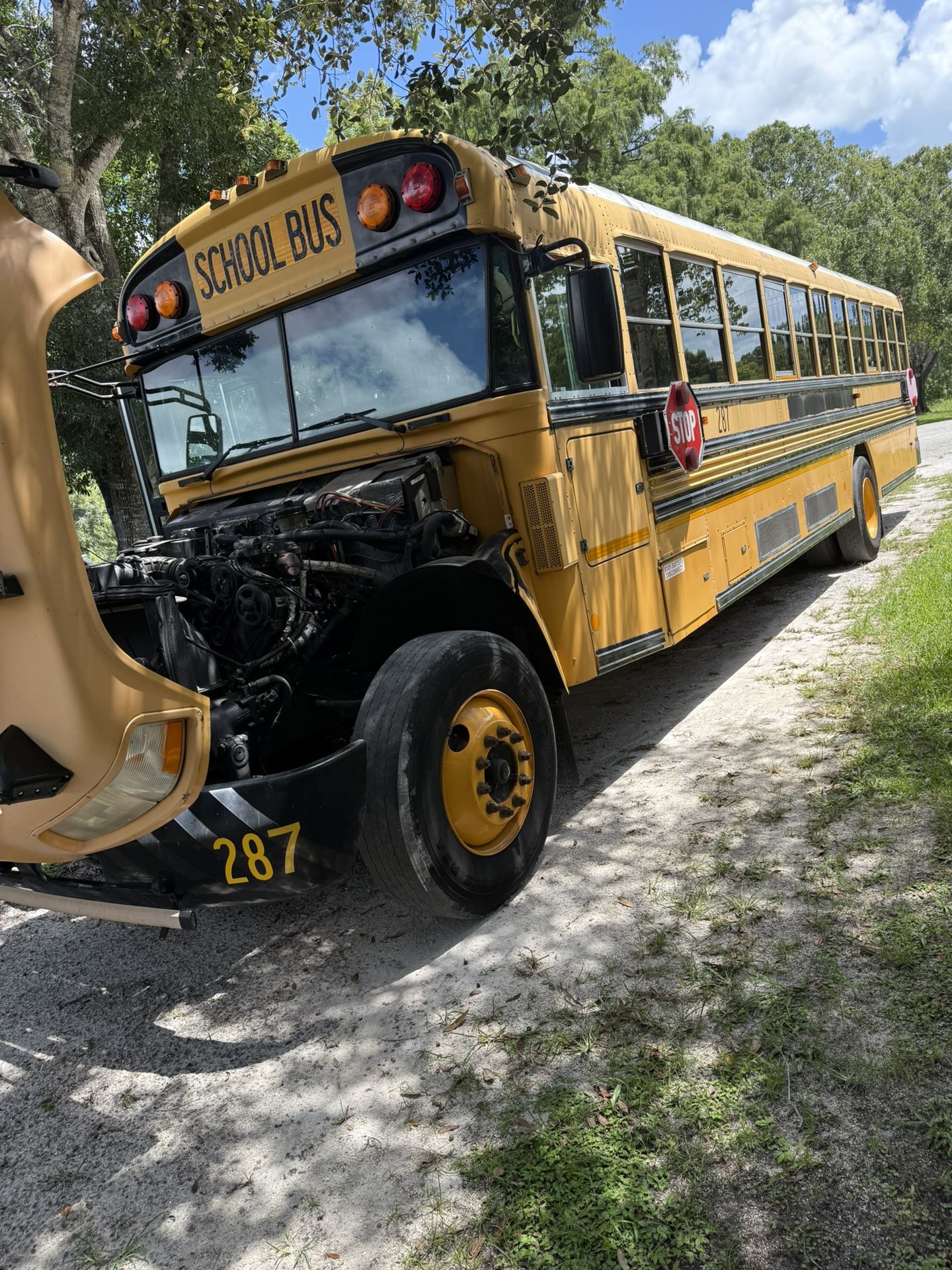 Bluebird Bus