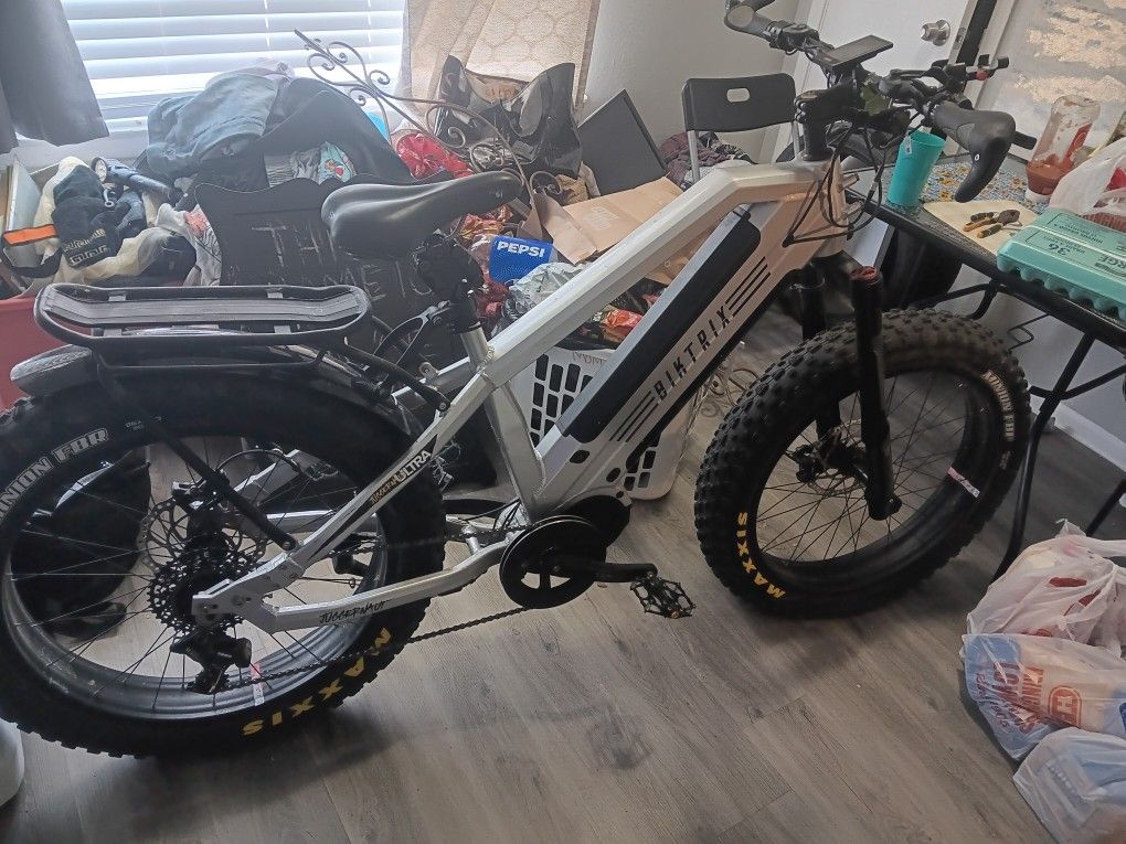 Electric Bike