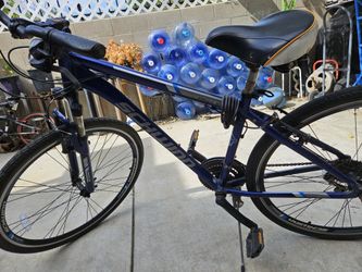 Schwinn Bicycle