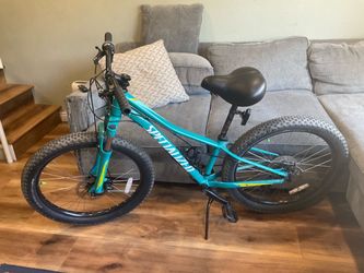 Specialized Mountain Bike — $300