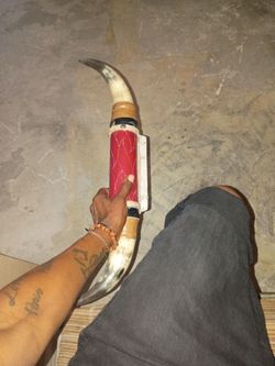Bullhorns