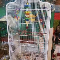 Bird Cage Big  One. ,all Kind,birds